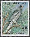 Colnect-1894-998-Dark-Chanting-Goshawk-Melierax-metabates.jpg