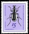 Colnect-1975-501-Snail-eating-Beetle-Cychrus-caraboides.jpg