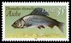 Colnect-1982-842-Grayling-Thymallus-thymallus-.jpg