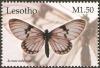 Colnect-2245-911-Clear-Wing-Acraea-Acraea-rabbaiae.jpg