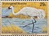 Colnect-2336-460-Whooping-Crane-Grus-americana.jpg