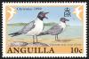 Colnect-579-806-Laughing-Gull-Larus-atricilla.jpg