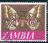 STS-Zambia-2-300dpi.jpg-crop-409x372at0-777.jpg