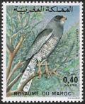 Colnect-1894-998-Dark-Chanting-Goshawk-Melierax-metabates.jpg