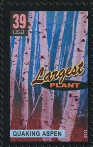 Colnect-202-594-Quaking-aspen-largest-plant.jpg