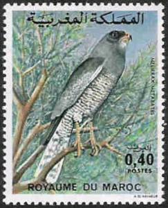 Colnect-1894-998-Dark-Chanting-Goshawk-Melierax-metabates.jpg