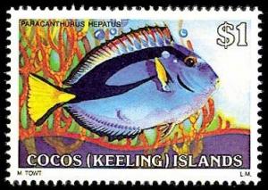 Colnect-1103-427-Blue-Tang-Paracanthurus-hepatus.jpg