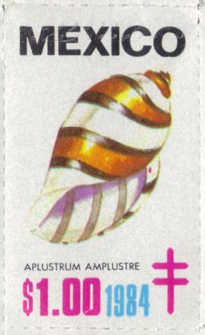 Colnect-2207-004-Ship--s-flag-shell-Aplustrum-amplustre.jpg