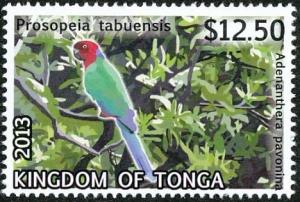 Colnect-3742-815-Maroon-Shining-Parrot-Prosopeia-tabuensis.jpg