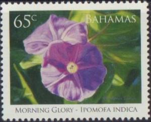 Colnect-4004-925-Morning-Glory-Ipomoea-indica.jpg