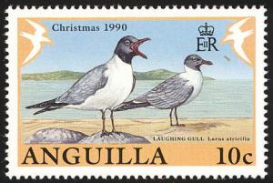 Colnect-579-806-Laughing-Gull-Larus-atricilla.jpg