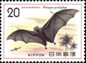 Colnect-608-796-Bonin-Flying-Fox-Pteropus-pselaphon-.jpg