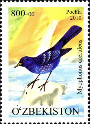 Colnect-854-420-Blue-Whistling-thrush-Myophonus-caeruleus.jpg