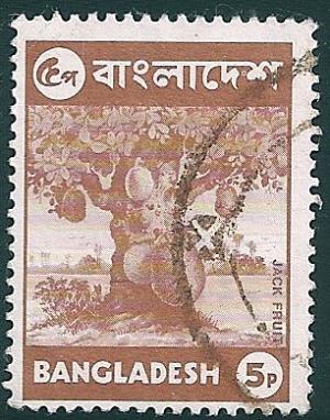 STS-Bangladesh-1-300dpi.jpg-crop-306x390at1415-2344.jpg