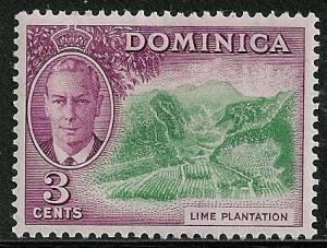 STS-Dominica-4-300dpi.jpeg-crop-452x343at1860-850.jpg