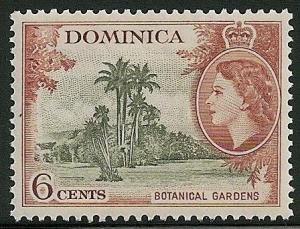 STS-Dominica-5-300dpi.jpeg-crop-448x343at699-858.jpg