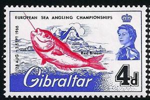 STS-Gibraltar-5-300dpi.jpeg-crop-502x338at179-2962.jpg