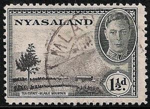 STS-Nyasaland-2-300dpi.jpeg-crop-460x335at804-1081.jpg