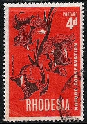 STS-Rhodesia-2-300dpi.jpeg-crop-355x510at527-1238.jpg