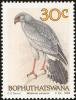 Colnect-1456-691-Pale-Chanting-Goshawk-Melierrax-canorus.jpg