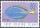 Colnect-1538-555-Blue-Tang-Paracanthurus-hepatus.jpg