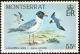 Colnect-1785-066-Laughing-Gull-Larus-atricilla.jpg