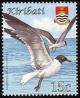 Colnect-2194-538-Laughing-Gull-Larus-atricilla.jpg