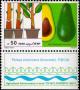 Colnect-795-989-Fruit-Growing-Avocado-Persea-americana.jpg