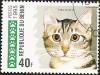 Colnect-1013-254-Tabby-Shorthair-Felis-silvestris-catus.jpg