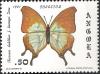 Colnect-1107-462-Charaxes-kahldeni.jpg