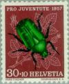 Colnect-140-060-Rose-chafer-Cetonia-aurata.jpg