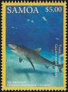 Colnect-3195-798-Tiger-Shark-Galeocerdo-cuvier.jpg