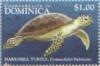 Colnect-3226-705-Hawksbill-turtle.jpg