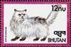 Colnect-3393-594-Pewter-Longhair-Felis-silvestris-catus.jpg