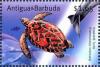 Colnect-3929-904-Hawksbill-turtle.jpg