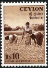 Colnect-3962-804-Harvesting-Rice.jpg