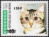 Colnect-4032-107-Tabby-Shorthair-Felis-silvestris-catus.jpg