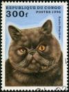 Colnect-4159-383-Exotic-Shorthair-Felis-silvestris-catus.jpg