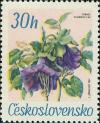 Colnect-438-962-Vilec-%C5%A1plhav%C3%BD-Cobaea-scandens-Cav.jpg