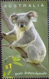 Colnect-455-846-Koala-Phascolarctos-cinereus.jpg