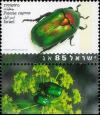 Colnect-780-827-Rose-Chafer-Potosia-cuprea.jpg