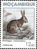 Colnect-1117-354-Natal-Red-Rockhare-Pronolagus-crassicaudatus.jpg