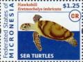 Colnect-5782-104-Hawksbill-turtle.jpg