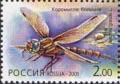 Colnect-802-204-Brown-Hawker-Aeshna-grandis.jpg