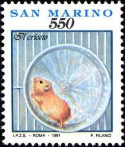 Colnect-1238-761-Hamster-on-wheel.jpg