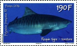 Colnect-2309-809-Tiger-shark-Galeocerdo-cuvier.jpg