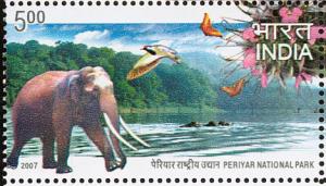 Colnect-3322-599-Asian-Elephant-Elephas-maximus---Periyar-National-Park.jpg