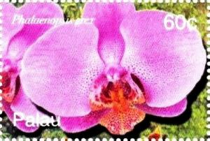 Colnect-3522-422-Phalaenopsis-grex.jpg