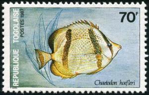 Colnect-3684-794-Chaetodon-hoefleri.jpg