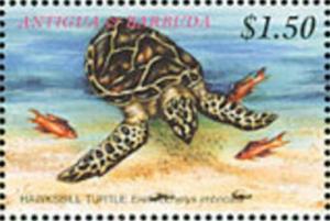 Colnect-3932-611-Hawksbill-turtle.jpg